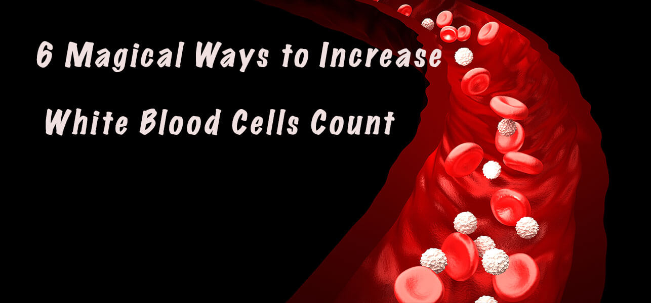6 Magical Ways to Increase White Blood Cells Count