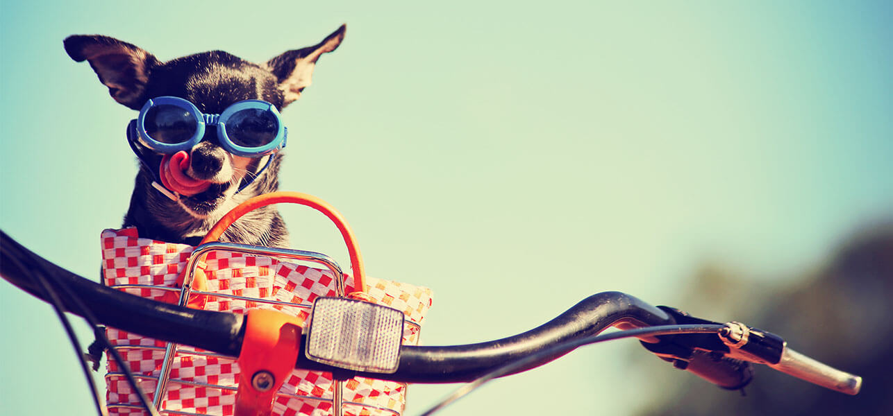 SUMMER ACCESSORIES YOU MUST OWN!