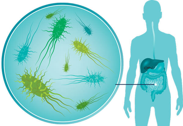 Vitamin D can Increase Good Bacteria in the Gut