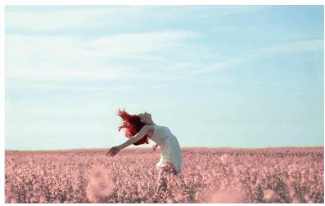 Going Shampoo-free: What Can You Use As a Shampoo Alternative?