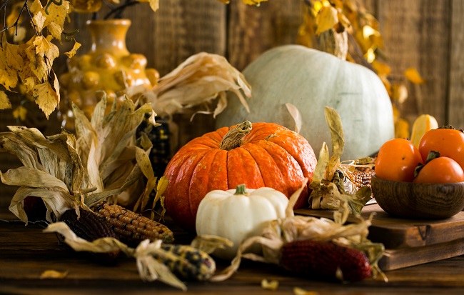 Spooktacular and Unique Halloween Activities to Haunt Your Halloween